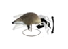 Image of Goose Hunting Decoys category