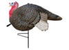 Image of Turkey Hunting Decoys category