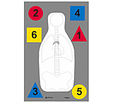 Image of Action Target DT-ANTQ-A MultiPurpose FBI-Q/Vital Anatomy/Commands 100 Per Case