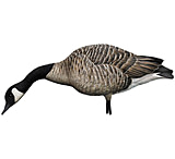 Image of Avian X AXP Honker Feeders Decoy - Pack