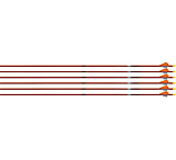 Image of Easton 5mm Autumn Orange FMJ 340 Arrows w/2in Bully Vanes