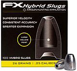 Image of FX .25 Caliber Hollow-Point Hybrid Slug