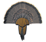 Image of Hunters Specialties Turkey Tail/Beard Mount Kit