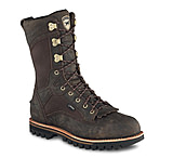 irish setter 2875