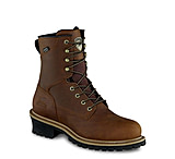 irish setter 2875