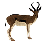 Image of Oncore Targets Springbok Self-Healing Archery Target