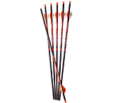 Image of Ravin R500 Series Carbon Xbow Arrows