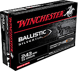 Image of Winchester BALLISTIC SILVERTIP .243 Winchester 55 grain Fragmenting Polymer Tip Centerfire Rifle Ammunition