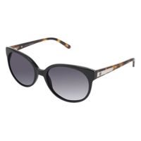 Ann Taylor