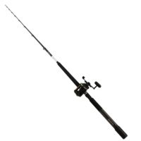 Daiwa SEALINE SALTWATER PMC SL30SH/SL701MH