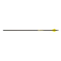 Gold Tip