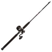 Penn Fishing Penn Battalion II Inshore Rod, Slc2 Construction Cork Handle,  Fuji Seat, Fuji Alconite Guides, 8-15lb, Cast