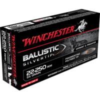 Winchester Ballistic Silvertip .22-250 Remington 55 grain Fragmenting Polymer Tip Centerfire Rifle Ammunition