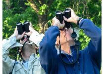 bird watching with binoculars
