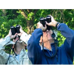 Amazon.com : Binoculars Compact for Adults Bird Watching Clearly - 12X42  High Definition Traveler Large-View - Novel Modeling and Lightweight - Binocular  Great for Outdoor Sports Games and Concerts : Camera & Photo