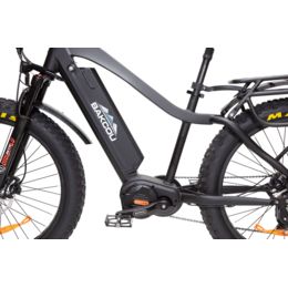 1000w electric bicycles