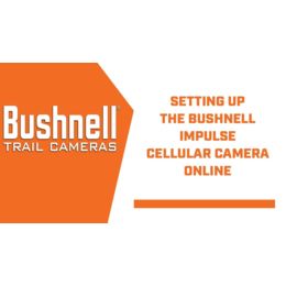 bushnell 119900a