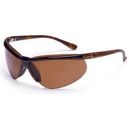 h2optix sunglasses