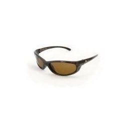 h2optix sunglasses