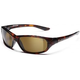 smith sunglasses evolve