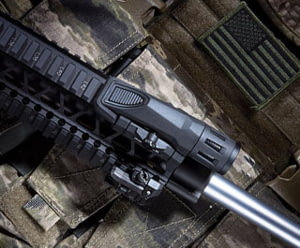 MSR Sights and Lights