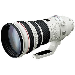 Canon EF 400mm f/2.8L IS USM Lens | Free Shipping over $49!