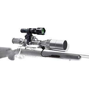 American Hunter 250 Lumen Varmint Light Free Shipping over 49