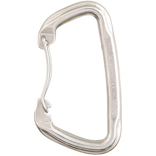 carabiner gym 