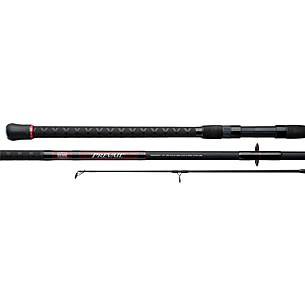Penn Fishing Prevail Surf Spinning Rod  4 Star Rating Free Shipping over  $49!