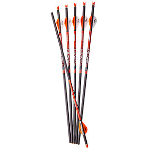 Ravin Hunting Crossbow Arrows w/ 100 Grain Field Tips/Broadheads, Orange,  6-pk