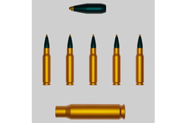 Image of Bullet (Top), Cartridges (Middle), Shell Casing (Bottom)