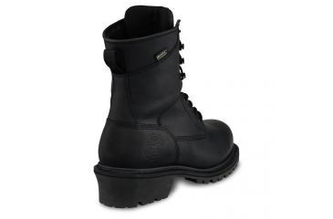 irish setter mesabi black