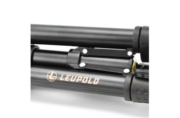 Image of Leupold SX-1 Ventana 2 20-60x80mm Angled Kit Gray/Black 170762