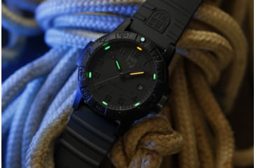 Image of Luminox Leatherback Sea Turtle Giant Watches, Black/Black, 44 mm, 0321.BO