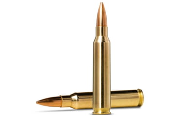 Norma MATCH .223 Remington 69gr Brass Cased Centerfire Rifle Ammunition, 20, BT
