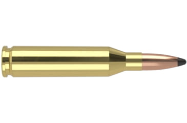 Image of Nosler Trophy Grade 243 Win 100gr Partition Brass Centerfire Rifle Ammunition, 20 Rounds, 61046