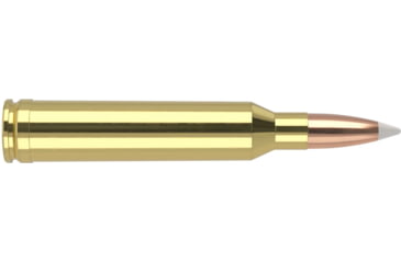 Image of Nosler Trophy Grade 7mm Remington Magnum 160 Grain AccuBond Brass Cased Centerfire Rifle Ammo, 20 Rounds, 47284