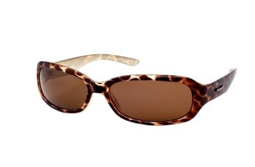 Polaroid Asbury Sunglasses | Free Shipping over $49!