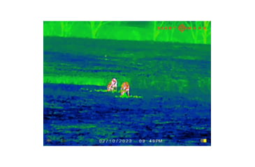 Image of SightMark Wraith Mini 2-16x35mm Thermal Rifle Scope, 1024x768 OLED Display, 384x288 Sensor Resolution, SM17001