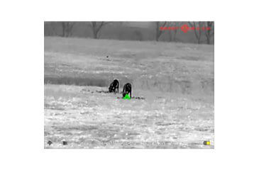 Image of SightMark Wraith Mini 2-16x35mm Thermal Rifle Scope, 1024x768 OLED Display, 384x288 Sensor Resolution, SM17001