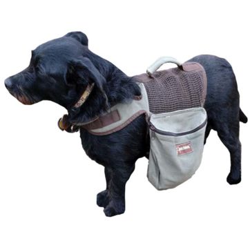 aussie backpack