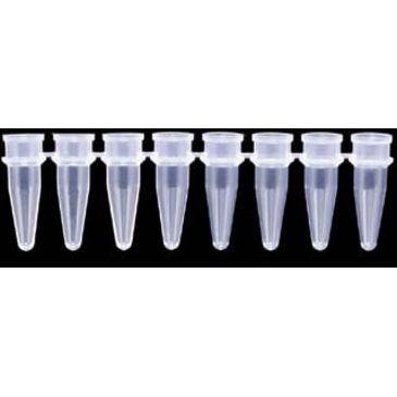 Axygen Pcr Tube Strips And Cap Strips Axygen Scientific Pcr 08cpc Strips Of Eight Tubes And Caps Up To 43 Off W Free Shipping