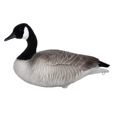 canada goose web 2.0