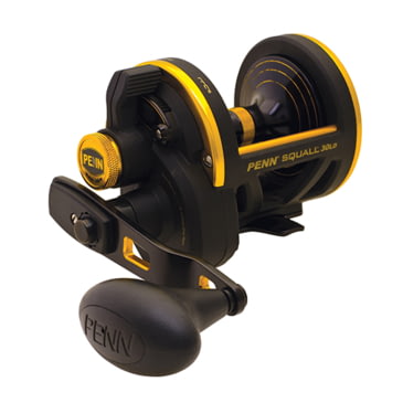 penn squall rod and reel combo