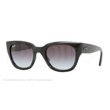 Ray-Ban RB4178 Sunglasses - Men's | Free Shipping over $49!