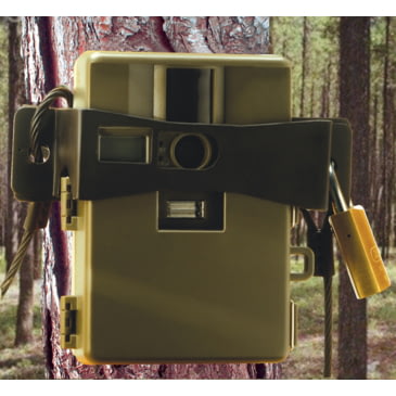 wildview trail camera