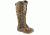 irish setter 2875