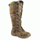 irish setter 2875