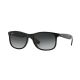 Ray-Ban ANDY RB4202 Sunglasses 601/8G-55 - Black Frame, Gray Gradient Lenses