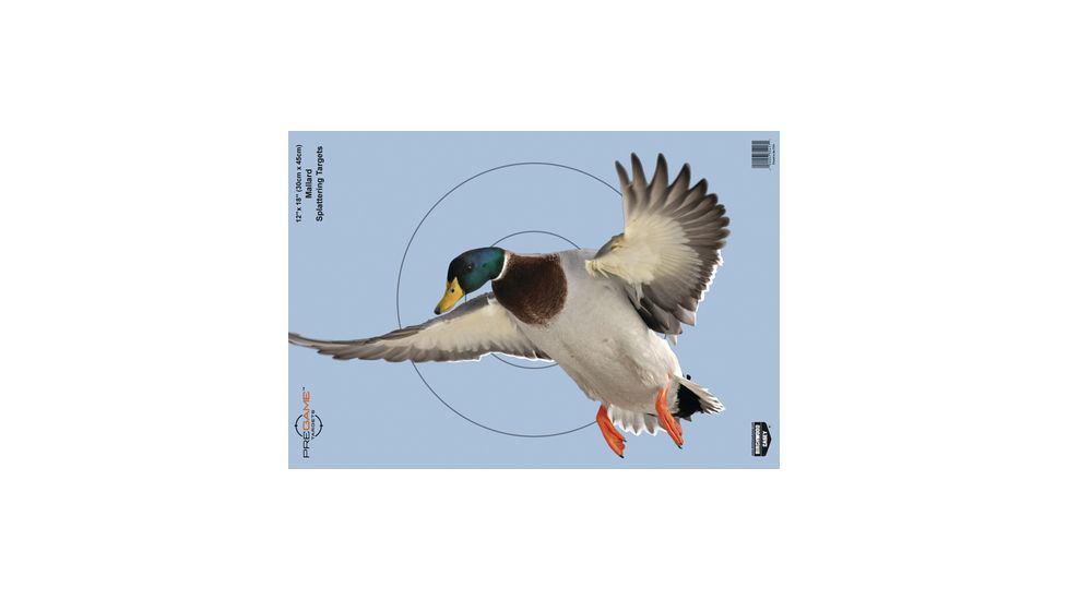 birchwood casey dirty bird pregame animal targets duck